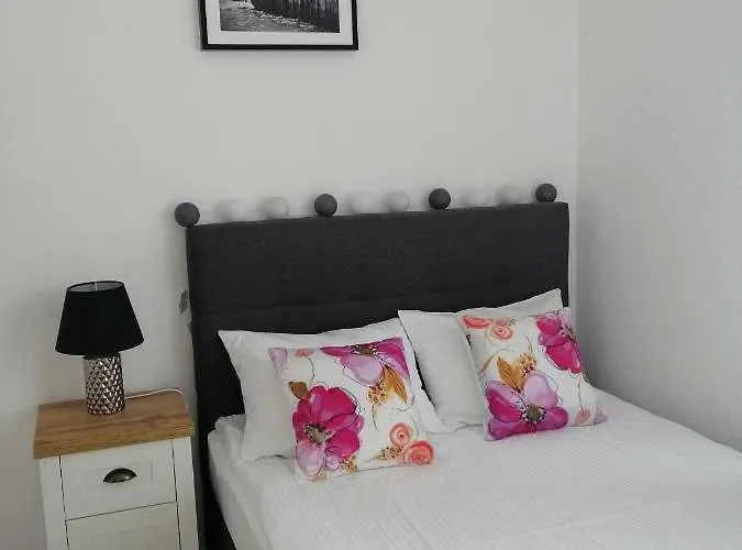 Orka 民宿 德兹维济诺