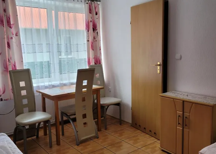 Orka 民宿 德兹维济诺